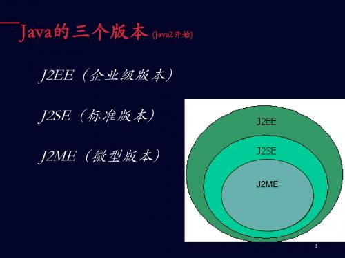 第2章 基本数据类型,数组和枚举类型