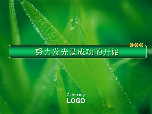 努力发光是成功的开始