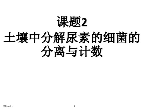 土壤中分解尿素的细菌的分离与计数定