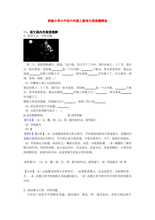 部编小学小升初六年级上册语文阅读题精选