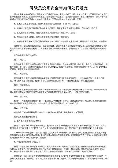 驾驶员没系安全带如何处罚规定