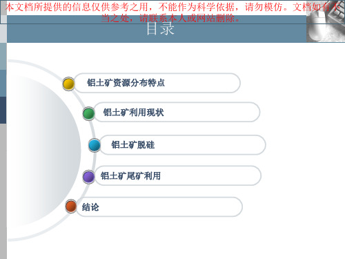 铝土矿选矿专题知识专业知识讲座