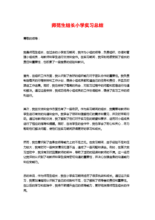 师范生组长小学实习总结