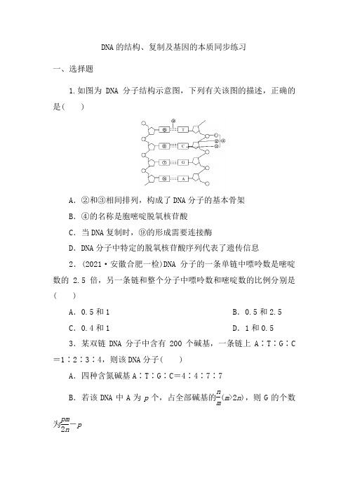 高中生物一轮复习同步练习： DNA的结构、复制及基因的本质