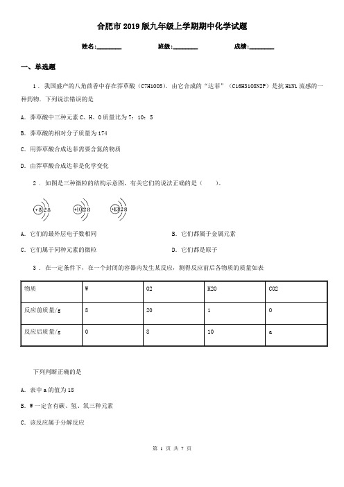 合肥市2019版九年级上学期期中化学试题