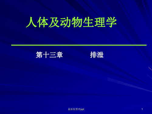 生理学泌尿系统ppt课件