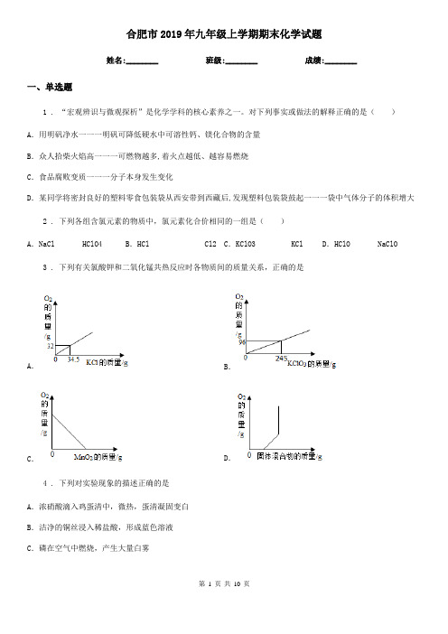 合肥市2019年九年级上学期期末化学试题