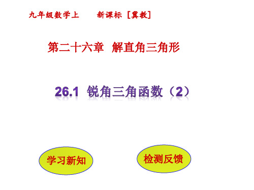 2锐角三角函数PPT课件(冀教版)