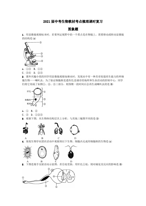 2021届中考生物教材考点梳理题型复习：图象题【含答案】