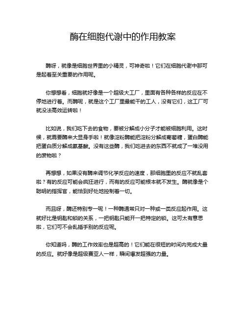 酶在细胞代谢中的作用教案