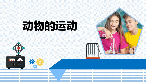 最新青岛版科学六年级上册《动物的运动》优质课件