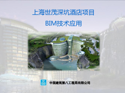 深坑酒店BIM 技术成果