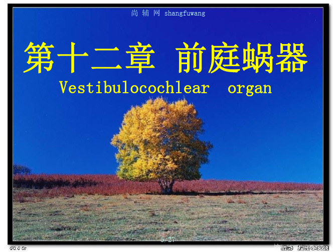 人体解剖学(第三版)(第二部分课件) 教学配套课件 邹锦慧 16前庭蜗器