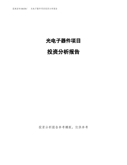 光电子器件项目投资分析报告(建设投资分析评价范本)