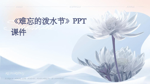 《难忘的泼水节》ppt课件