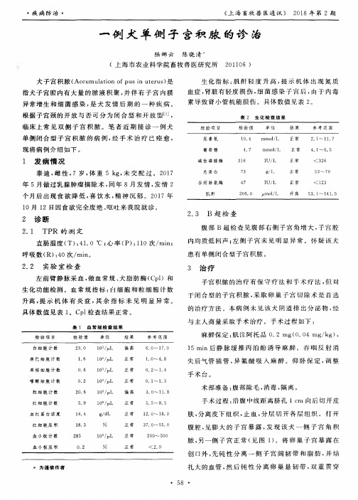 一例犬单侧子宫积脓的诊治