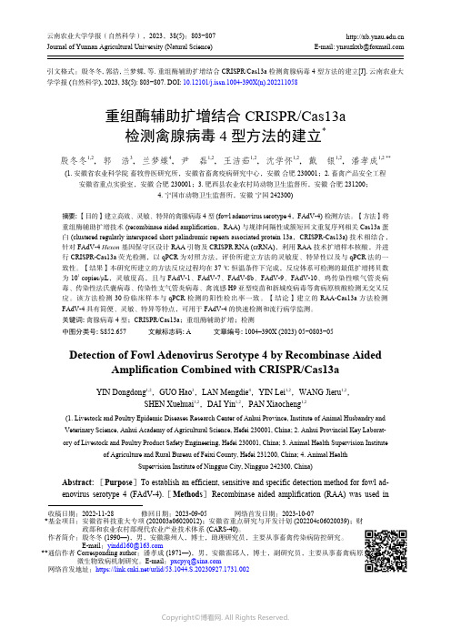 重组酶辅助扩增结合_CRISPR