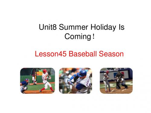 (新版)冀教版七年级英语下册：unit 8 Summer Holiday 