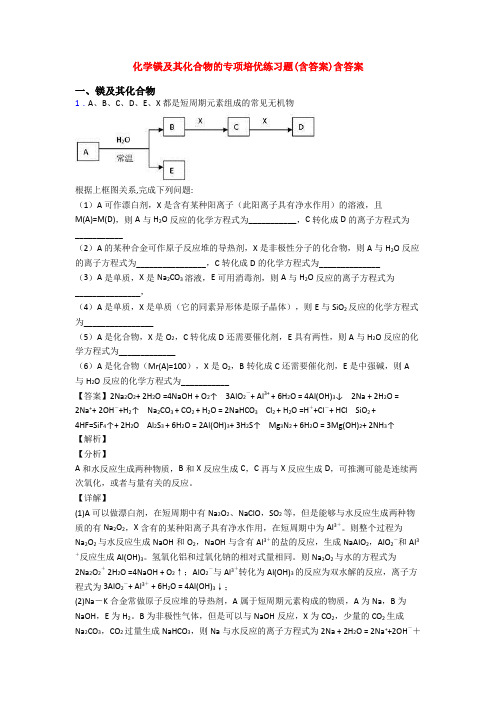 化学镁及其化合物的专项培优练习题(含答案)含答案