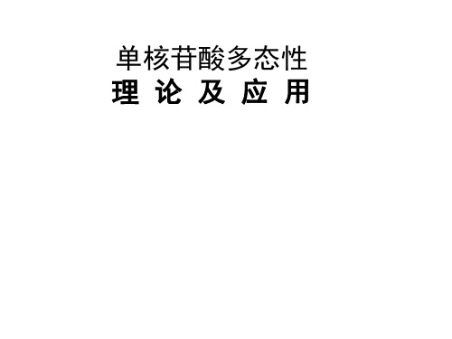 单核苷酸多态性理论及应用模板