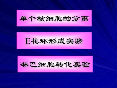 人体寄生虫学实验