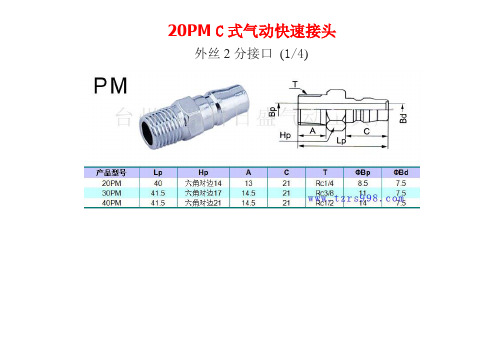 20PM(C式)气动快速接头