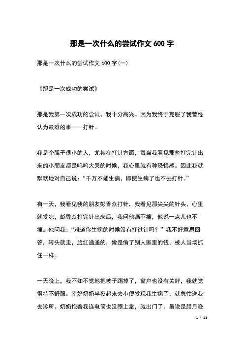 那是一次什么的尝试作文600字