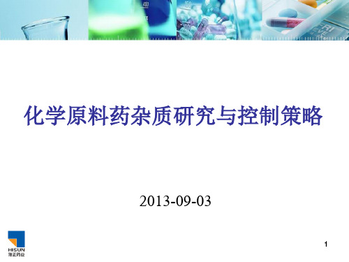 杂质研究思路及控制与去除策略-罗海荣