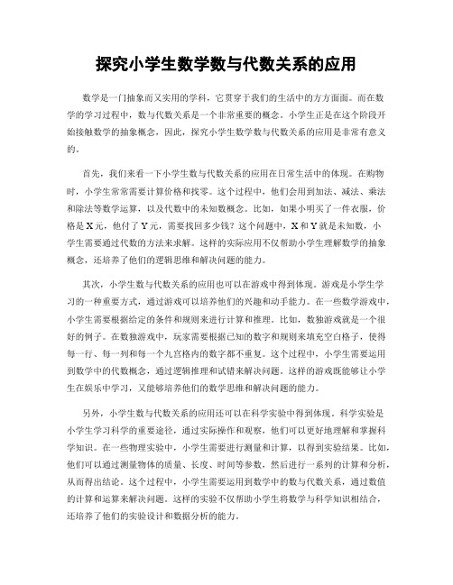 探究小学生数学数与代数关系的应用