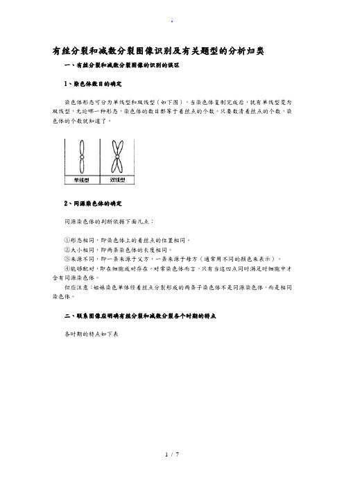 高中生物有丝分裂和减数分裂图解