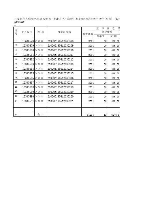 大连金保工程系统缴费明细(模板)