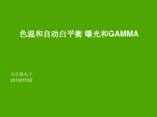 色温和自动白平衡 曝光和GAMMA