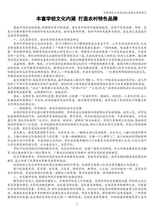 丰富学校文化内涵打造特色品牌项目