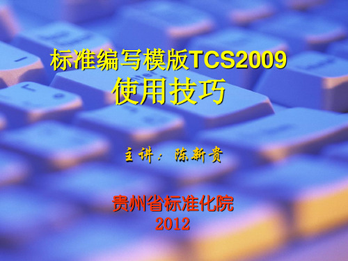 标准编写模版TCS2009