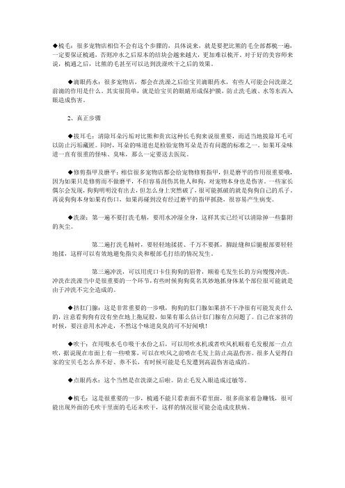 如何给狗狗洗澡