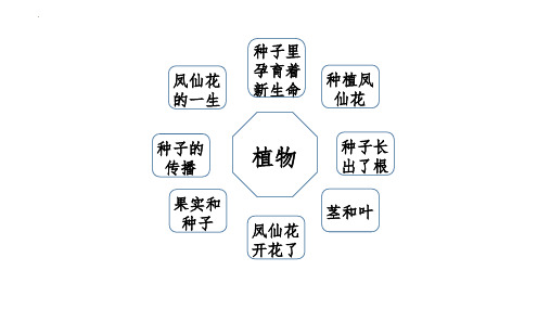 最新教科版四年级科学下册第一单元《植物的生长变化》复习讲解精品教学课件