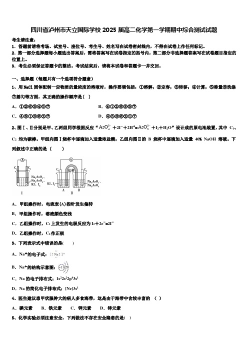 四川省泸州市天立国际学校2025届高二化学第一学期期中综合测试试题含解析