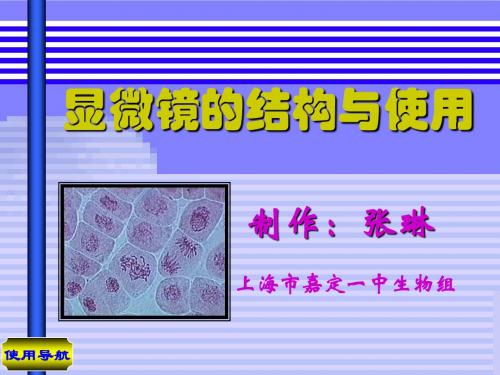 七年级生物显微镜的结构和使用课件_新课标_人教版_pps