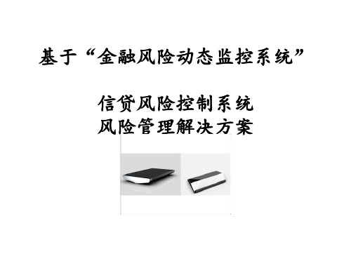 基于“金融风险动态监控系统”信贷风险控制系统风险管理解决方案