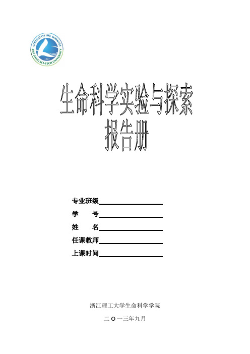 生命科学实验与探索报告册