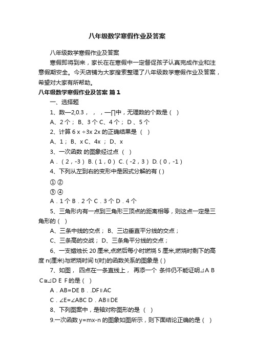 八年级数学寒假作业及答案