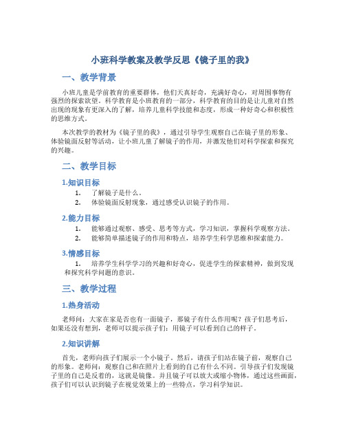 小班科学教案及教学反思《镜子里的我》