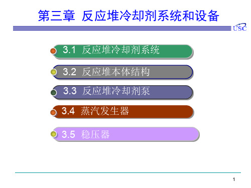 核反应堆-核电-核技术-核工程-3.1 压水堆核电厂一回路主系统1