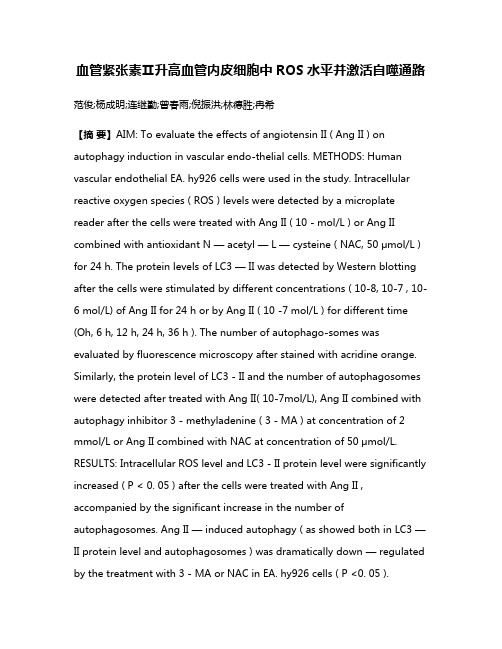 血管紧张素Ⅱ升高血管内皮细胞中ROS水平并激活自噬通路