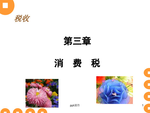 第3章 消费税 ppt课件