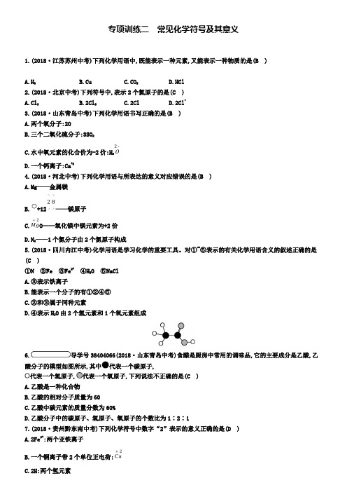 九年级化学上册专项训练二常见化学符号及其意义练习新人教版