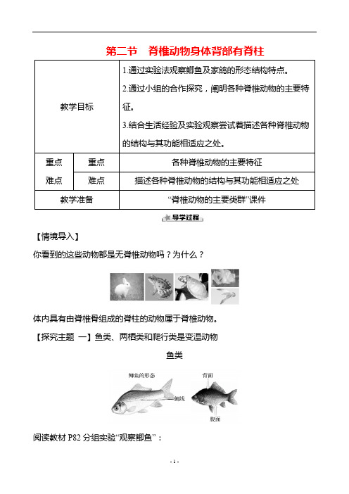 2.2.2脊椎动物身体背部有脊柱 教案 生物济南版七年级上册