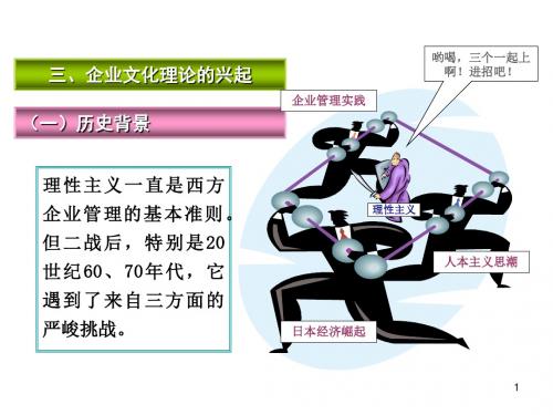 企业文化理论的兴起概述(PPT 43张)