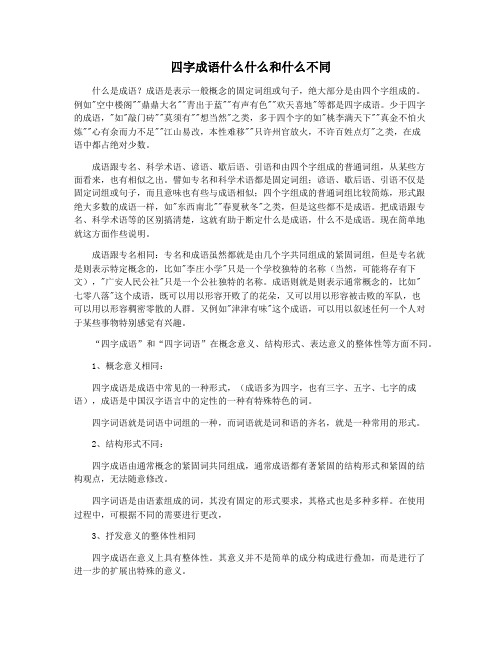 四字成语什么什么和什么不同