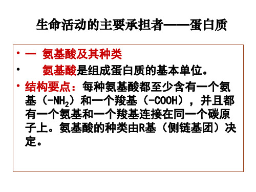 高一生物蛋白质核酸